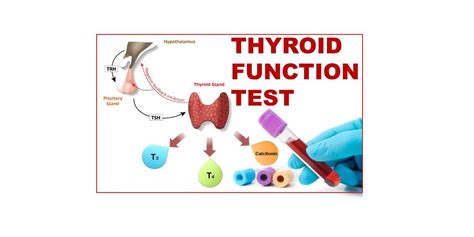 tft blood test bottle|tft blood test patient education.